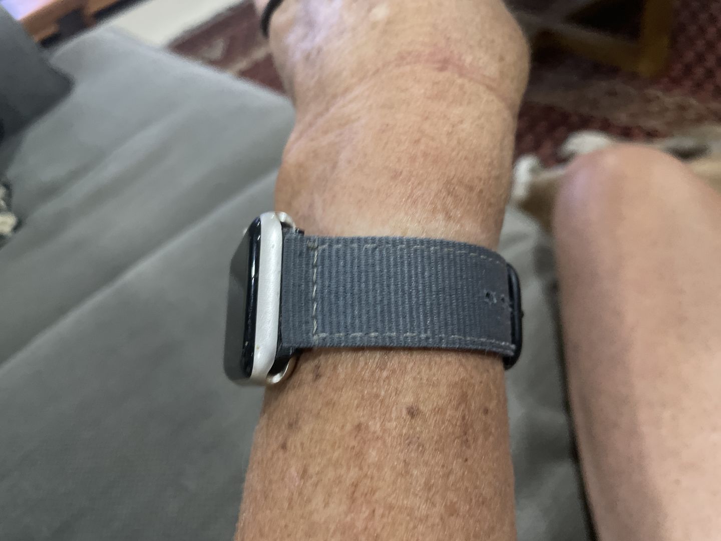 Customer photo review of Bellus Nylon Strap