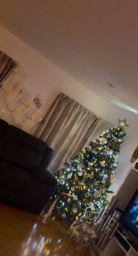 Customer photo review of Pine Frosted Bauble