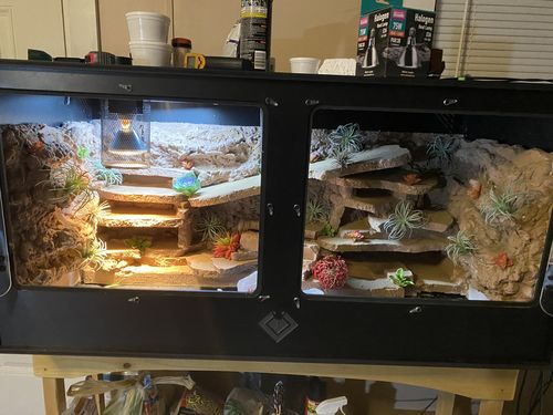 Customer photo review of XT6 (72Lx24Dx24H) - STACKABLE
