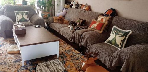 Customer photo review of Soft Shaggy Sofa Covers , Throws Blankets Sofa Slipcovers for Pets