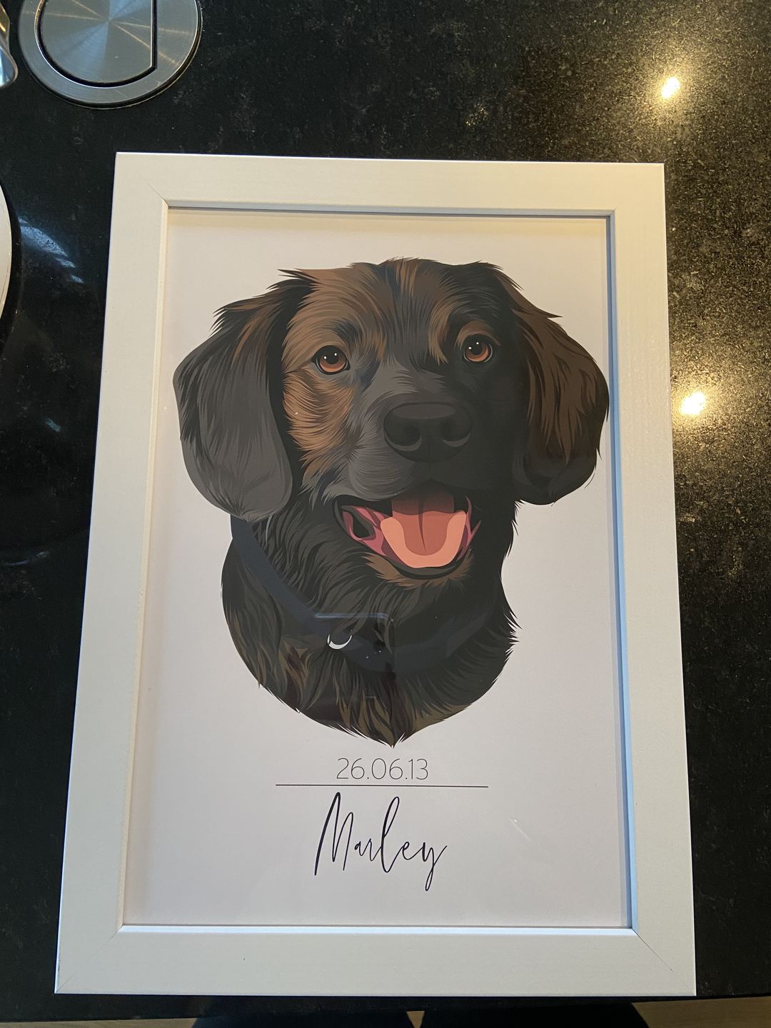 Customer photo review of Portrait deines Tieres