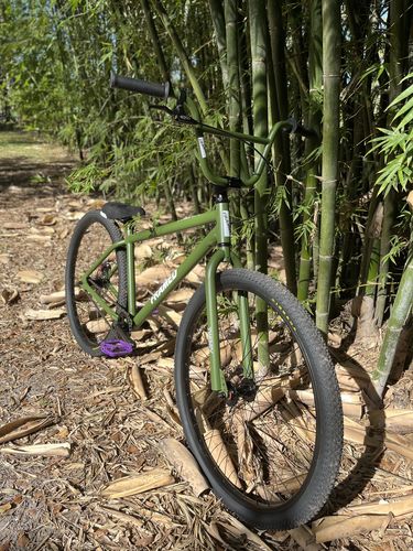 Customer photo review of Twenty9er BMX Bike