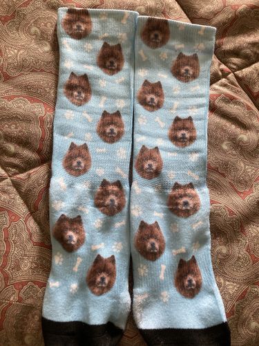 Customer photo review of Custom Dog Socks