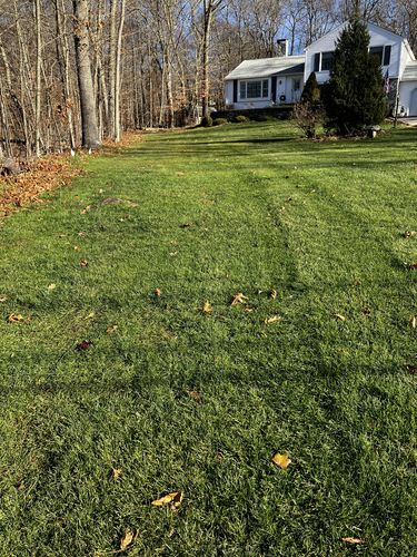 Customer photo review of Protene Performance Fall Fertilizer