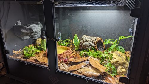 Customer photo review of XA3-BIO18 (36Lx24Hx18D) - STACKABLE
