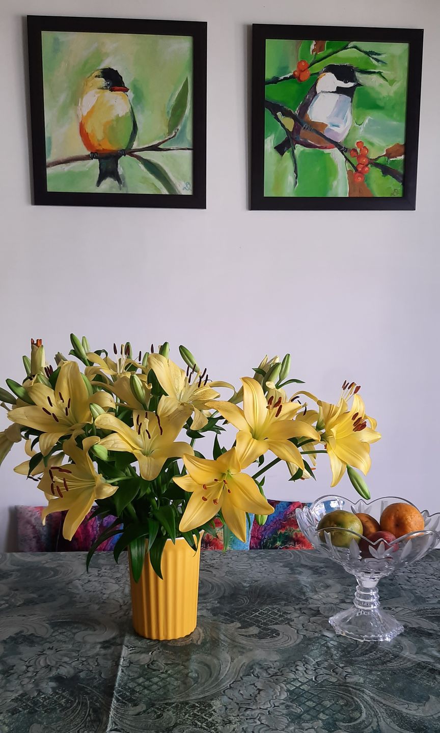 Customer photo review of Asiatic Lily