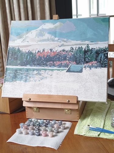 Customer photo review of Tekapo Church of the Good Shepherd