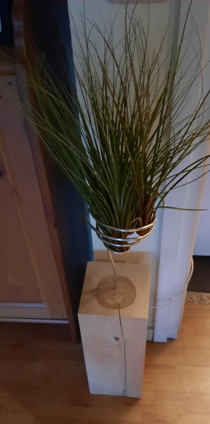 Customer photo review of Tilly Xylo - Gigant