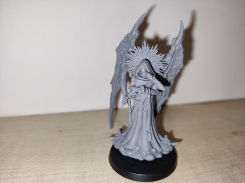 Customer photo review of Acrimoniah, The Cursed Saint (Vampires - F)