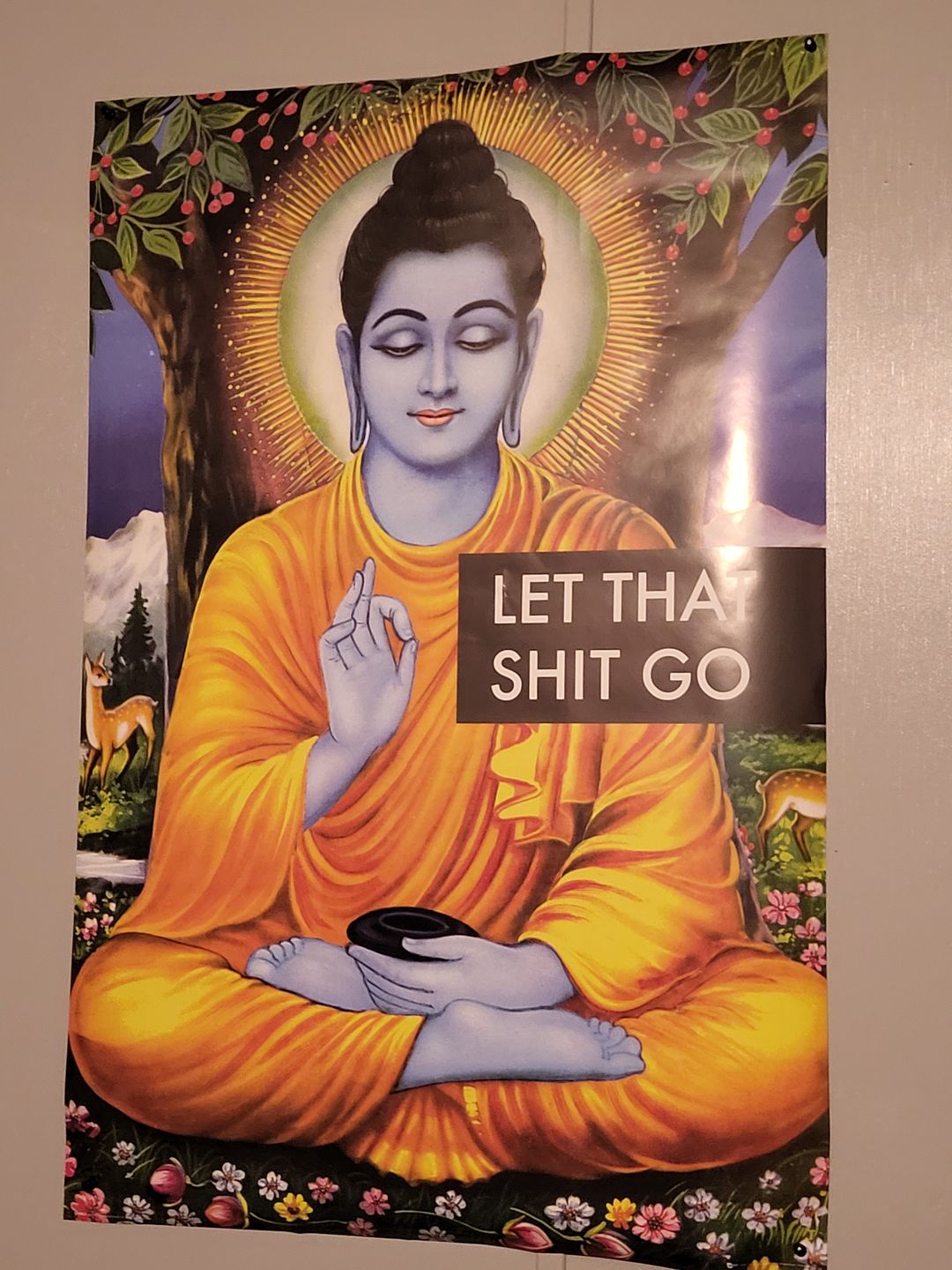 Customer photo review of Let That Shit Go Buddha Poster