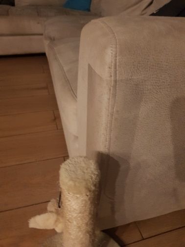 Customer photo review of Feline Furniture Guard