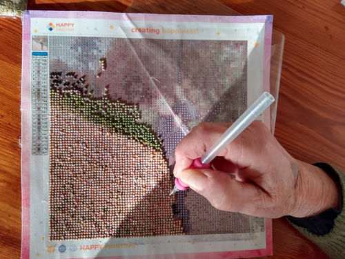 Customer photo review of Eigen Foto Diamond Painting