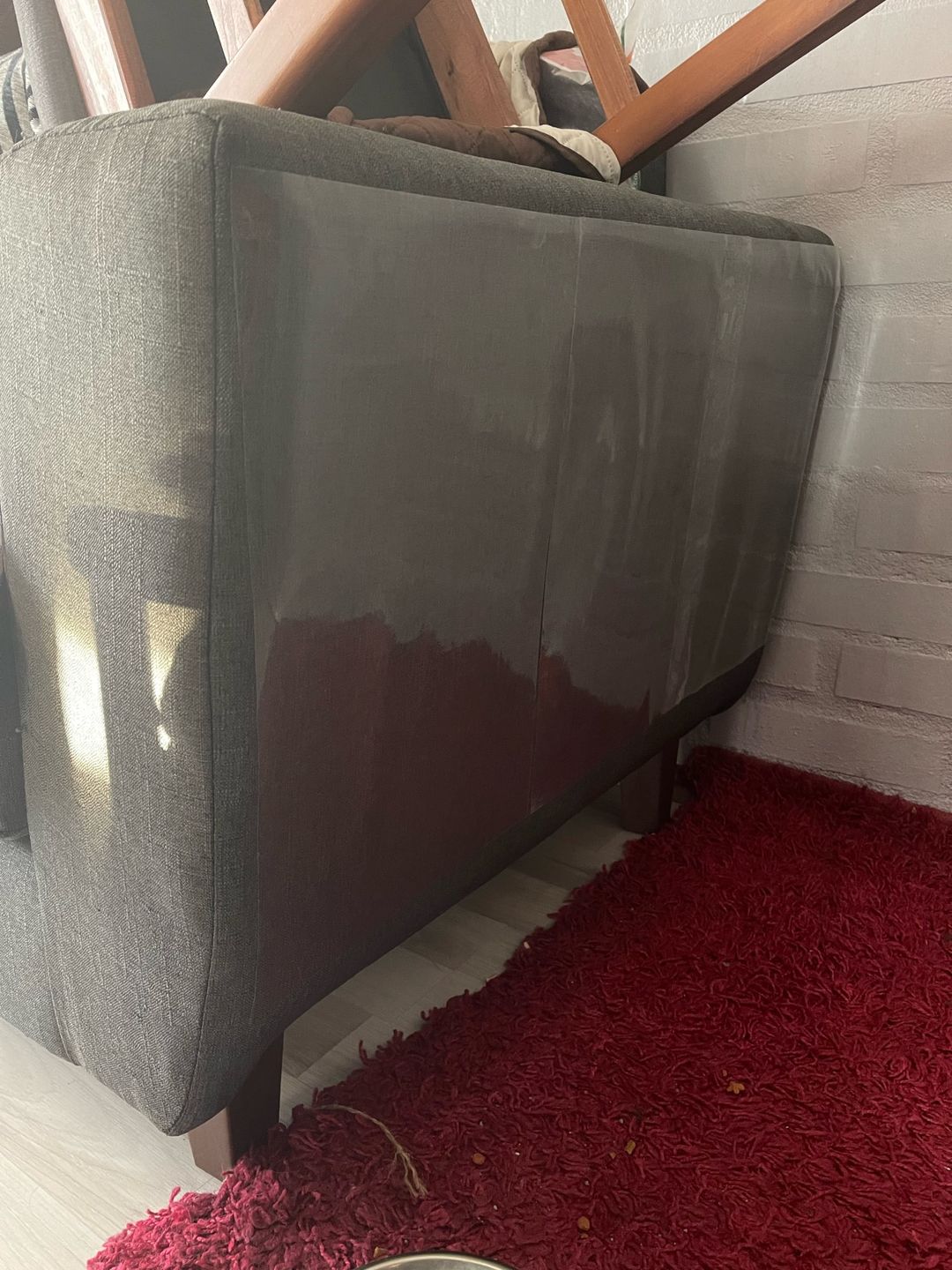 Customer photo review of Feline Furniture Guard