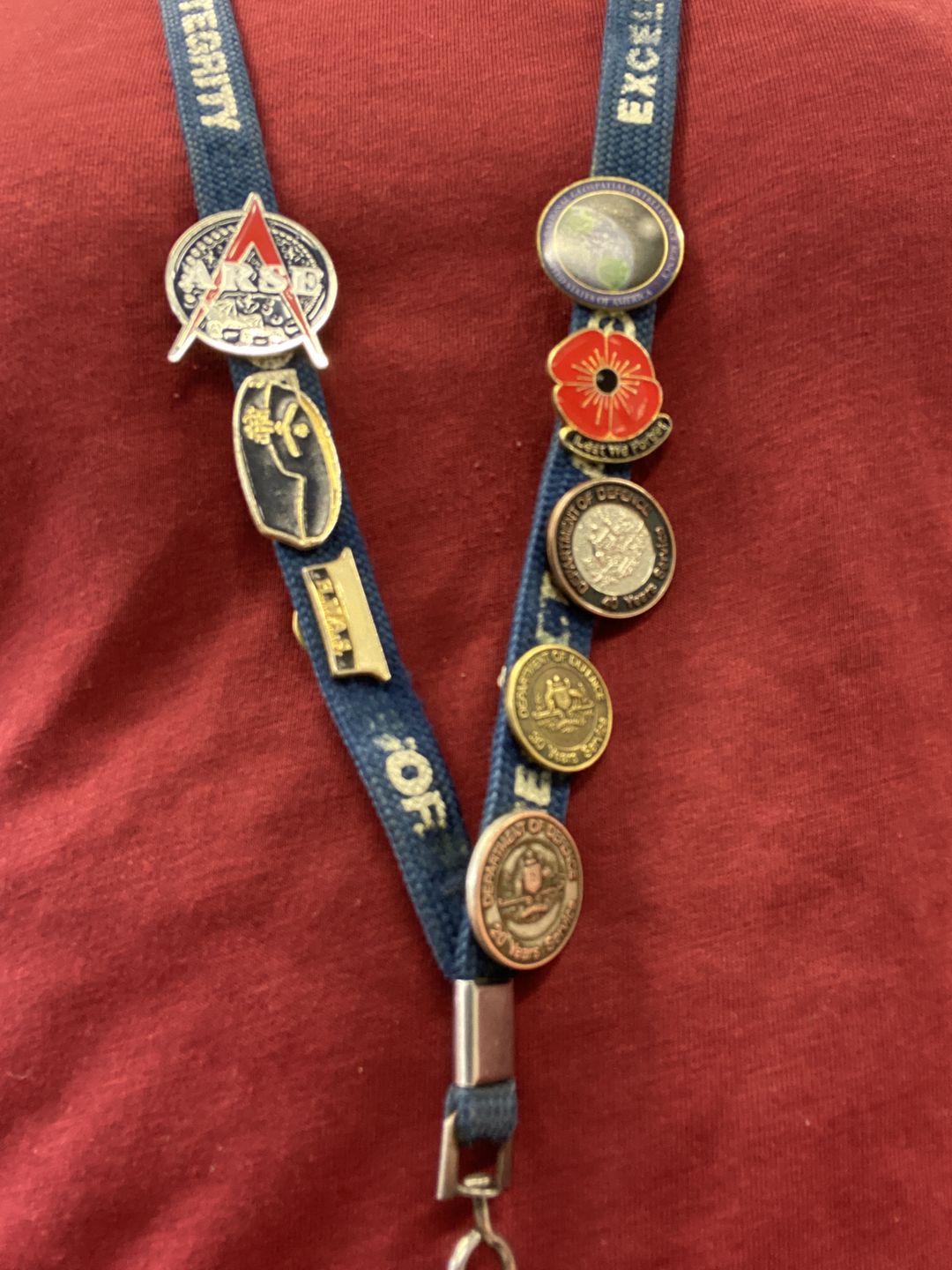 Customer photo review of ARSE Pins