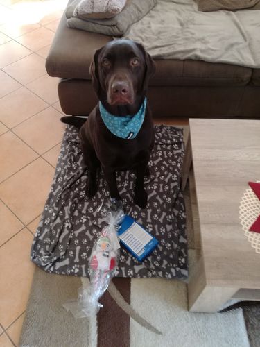 Customer photo review of Relax Time