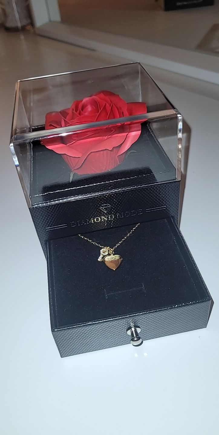 Customer photo review of Key to Heart Halskette | 18K vergoldet