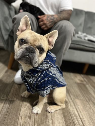 Customer photo review of Playa Poncho - Surprise Color