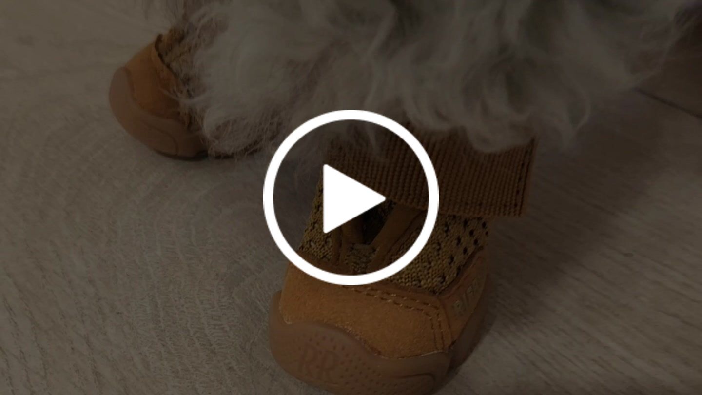 Customer photo review of Caesar 1S