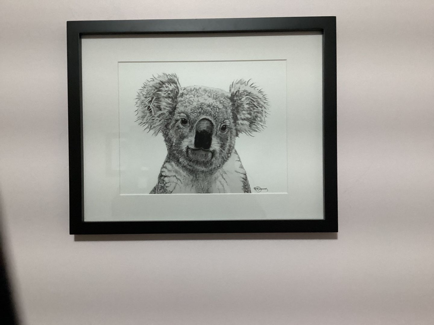 Customer photo review of Koala Portrait