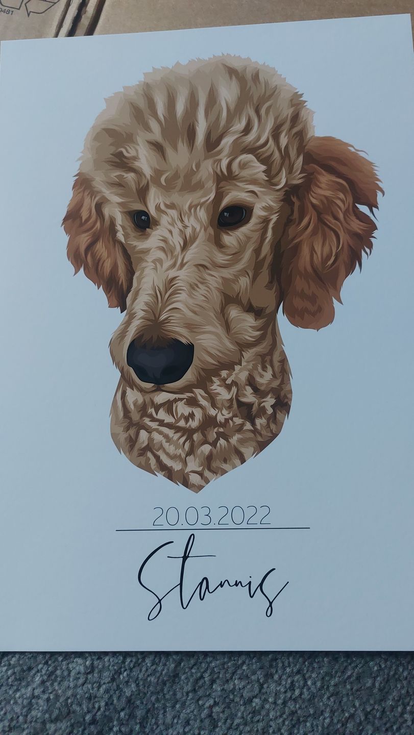 Customer photo review of Portrait deines Tieres