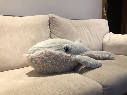 Customer photo review of The Whale