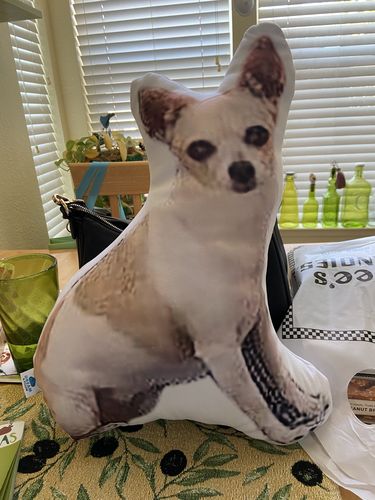 Customer photo review of Create A Custom Dog Pillow