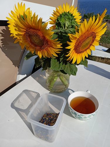 Customer photo review of Ranní Detoxikační čaj (28 denní)