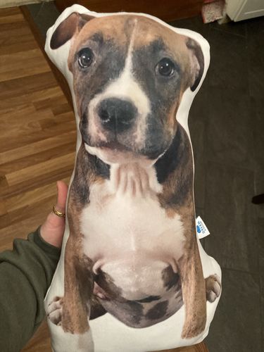Customer photo review of Create A Custom Dog Pillow