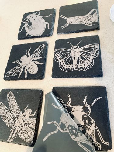 Customer photo review of Garden Insects - Mesh Stencil 18x12