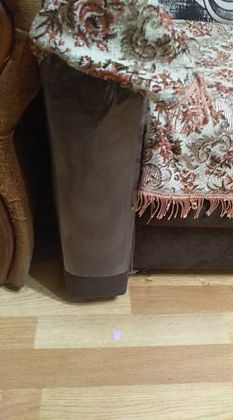 Customer photo review of Feline Furniture Guard
