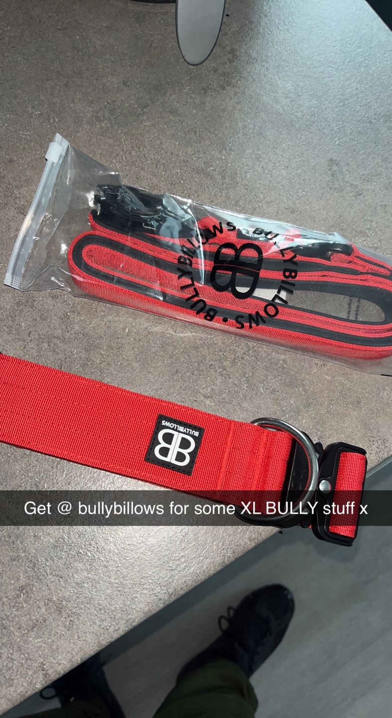 Customer photo review of 1.4m Swivel Combat Lead | Neoprene Lined, Secure Rated Clip with Soft Handle - Red