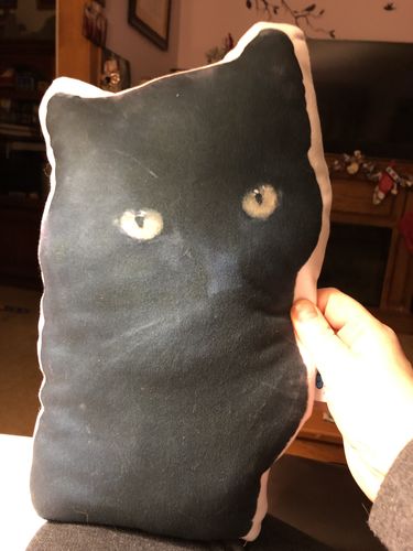 Customer photo review of Create A Custom Cat Pillow