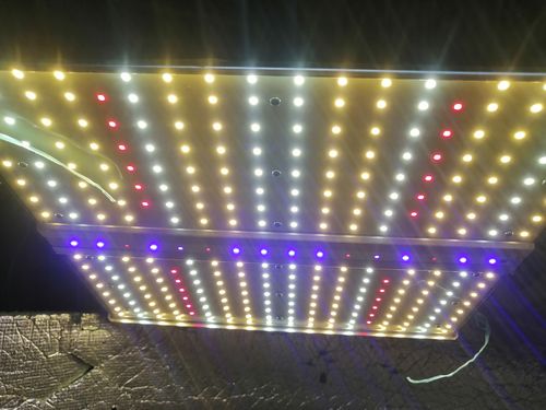 Customer photo review of New Sayhon SH1200 Led Grow Light Full Spectrum For 3X3ft Tent