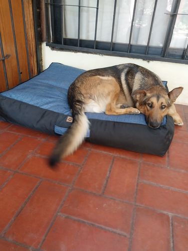 Customer photo review of FUNDA AZUL JEANS-NEGRO ORIGEN