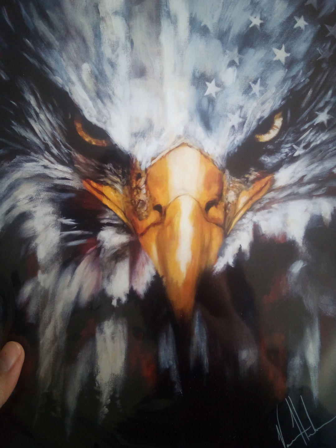 Customer photo review of Stripes of Freedom