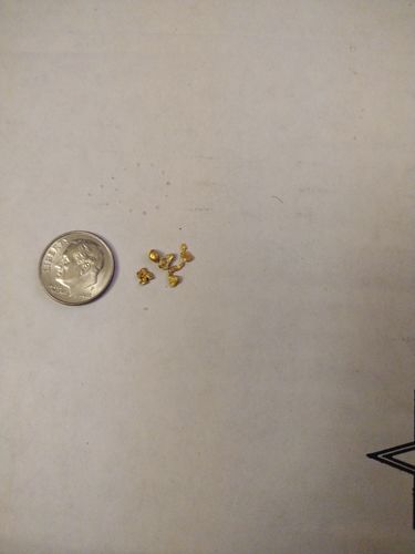 Customer photo review of Elite 'NUGGET CHASE' - Gold Panning Paydirt Concentrate