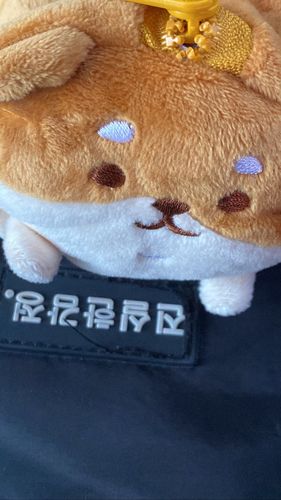 Customer photo review of Shiba Inu Pencil Case