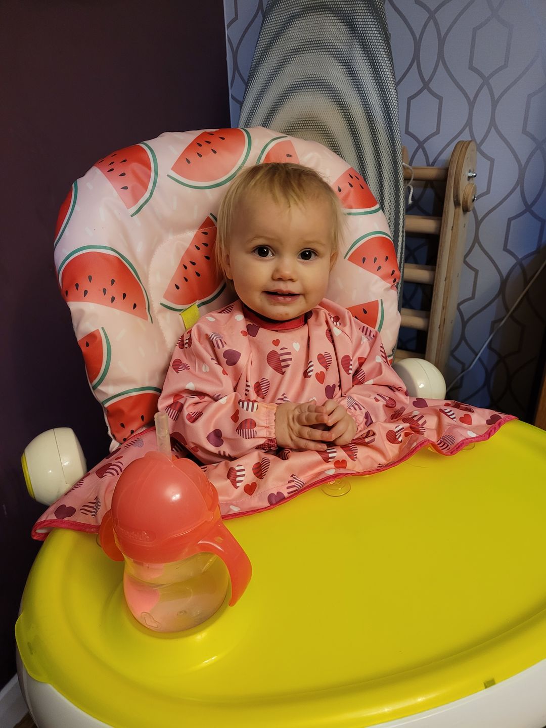 Customer photo review of Cover & Catch Bib