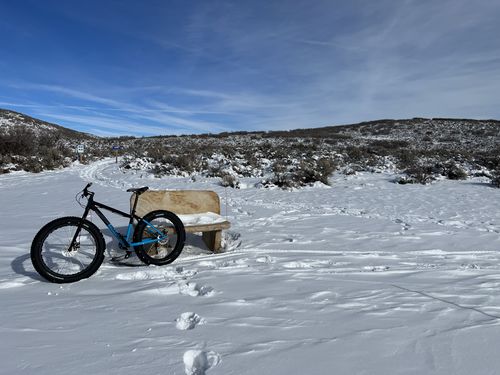 Customer photo review of Minnesota - Fat 26"