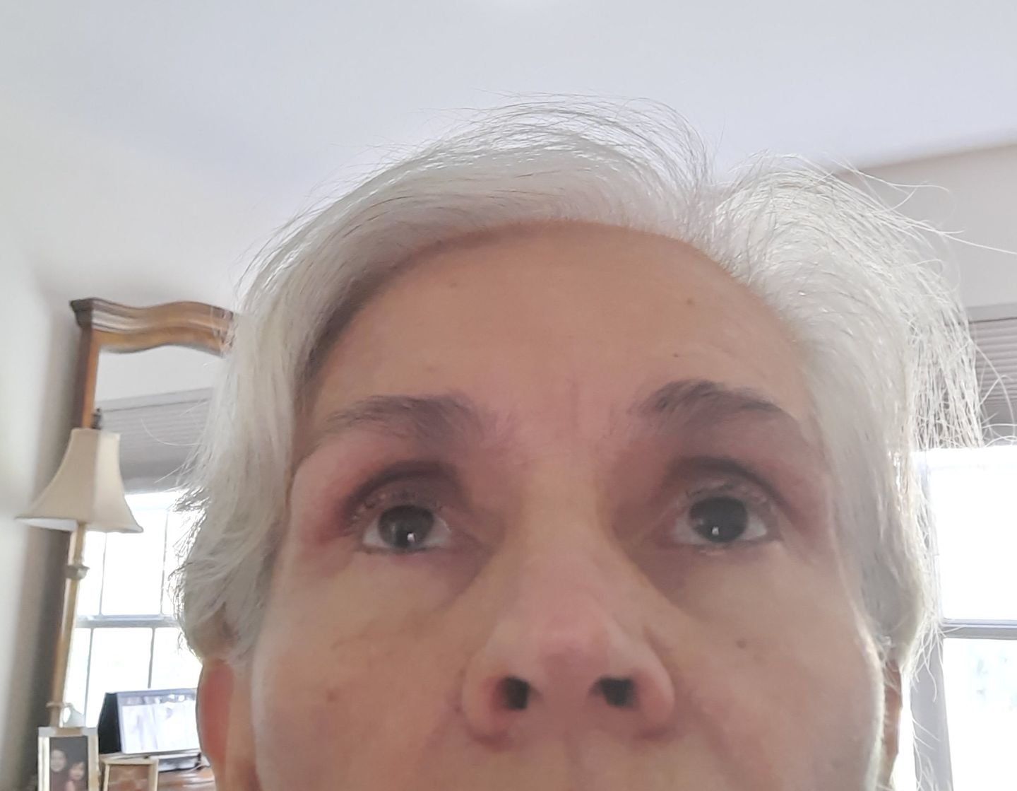 Customer photo review of LASH & BROW DYE KIT - BROWN/BLACK