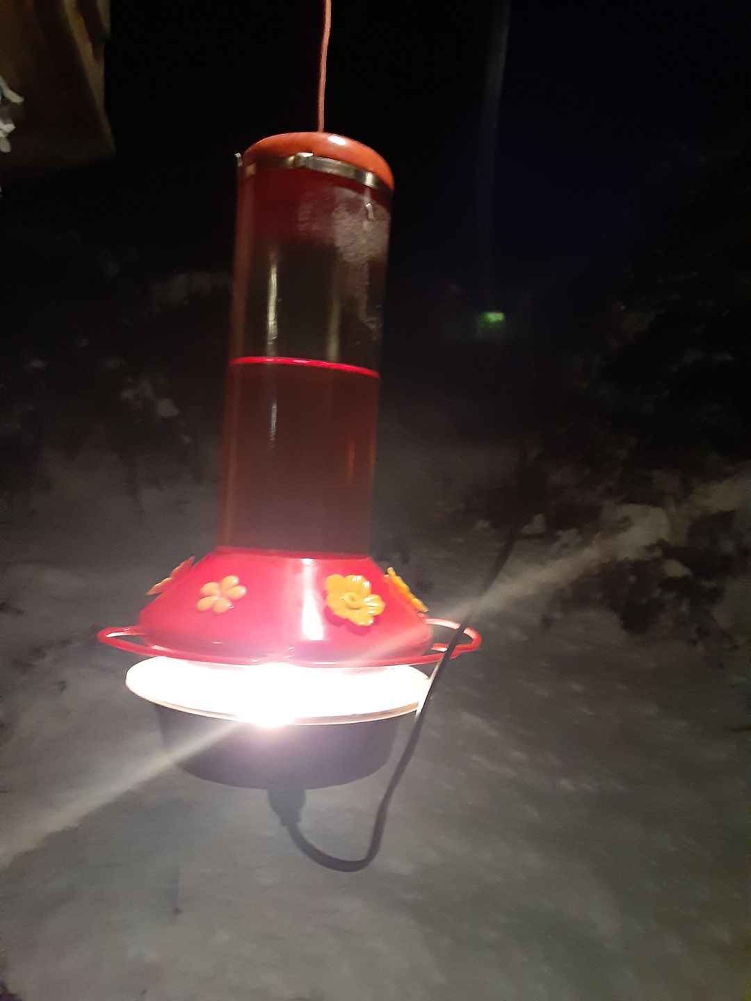 Customer photo review of 11FT Black Weatherproof Outdoor Pendant Light Lamp Cord Kit, E12 C7 Base