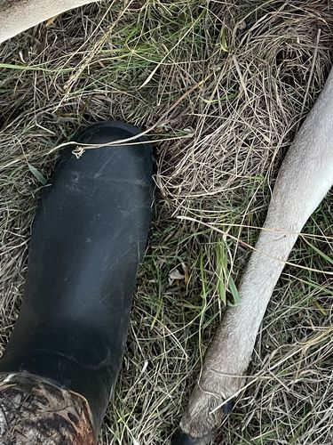 Customer photo review of Men’s 15" Waterproof All-Weather Rubber Boots