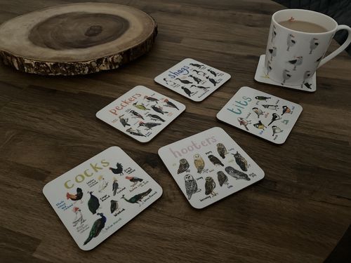 Customer photo review of Set of 6 Bird Pun Coasters