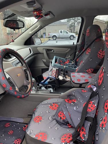 Customer photo review of Little Ladybird Pattern Print Car Steering Wheel Cover