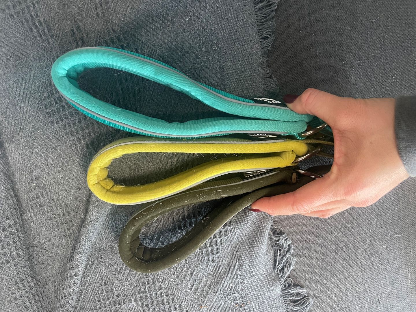 Customer photo review of 4cm RR Collar | Soft Padded & Reflective | Series 2 - Turquoise