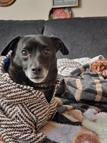 Customer photo review of Playa Poncho - Surprise Color