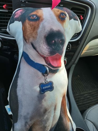 Customer photo review of Create A Custom Dog Pillow