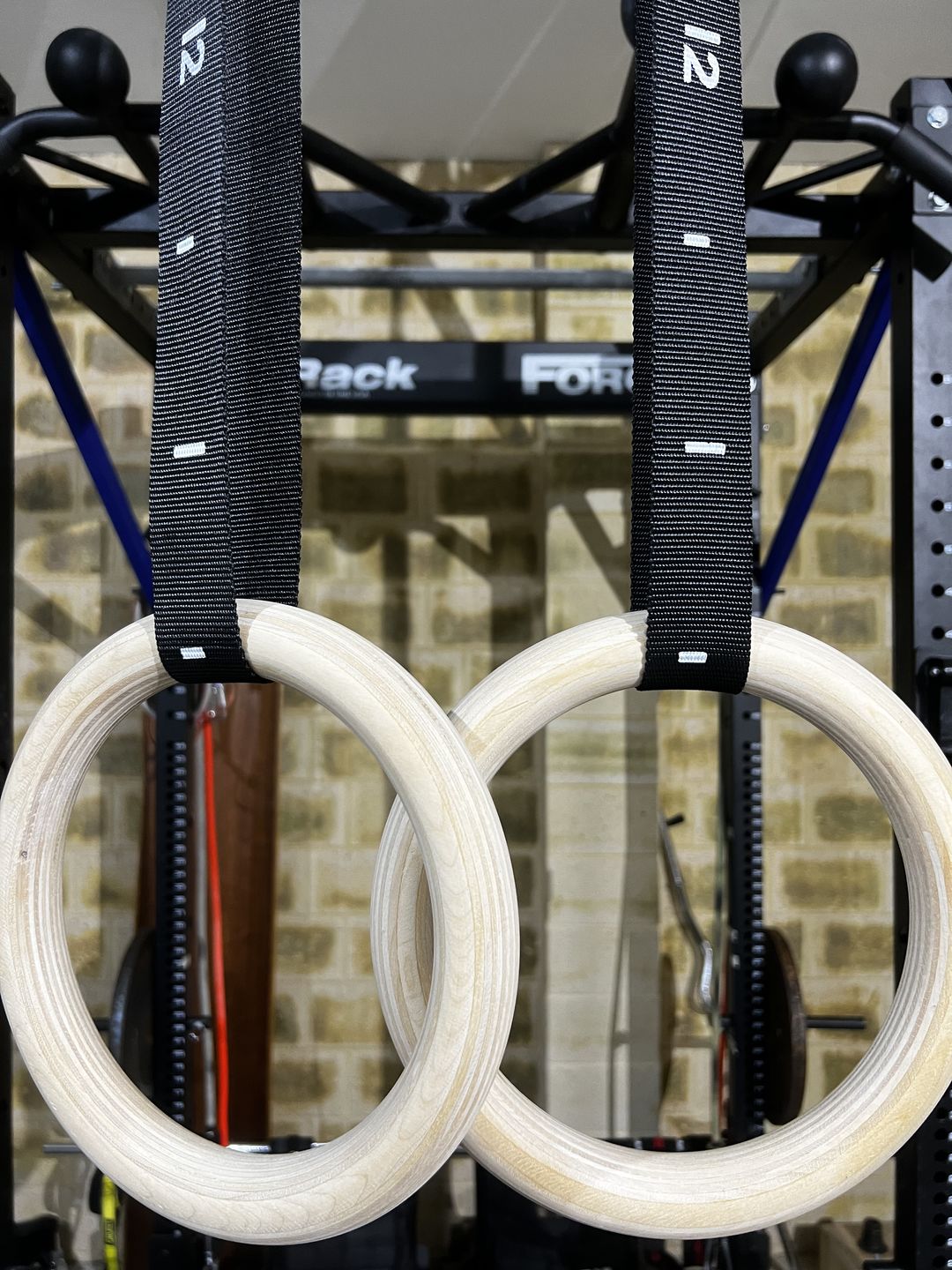Customer photo review of Gymnastic Rings Straps with Cam Buckles 3.8cm