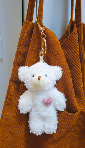 Customer photo review of Love Heart Animal Friend Keychain Collection