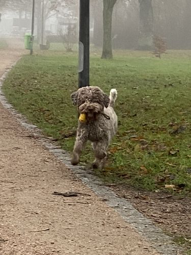 Customer photo review of Lucky Belly